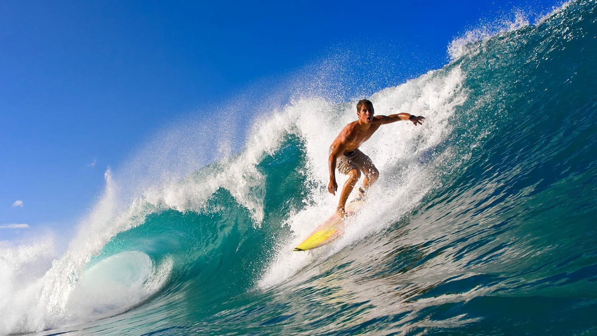 AYX体育-“青训电子报名系统正式启用，提升报名效率”，青训营报名方法