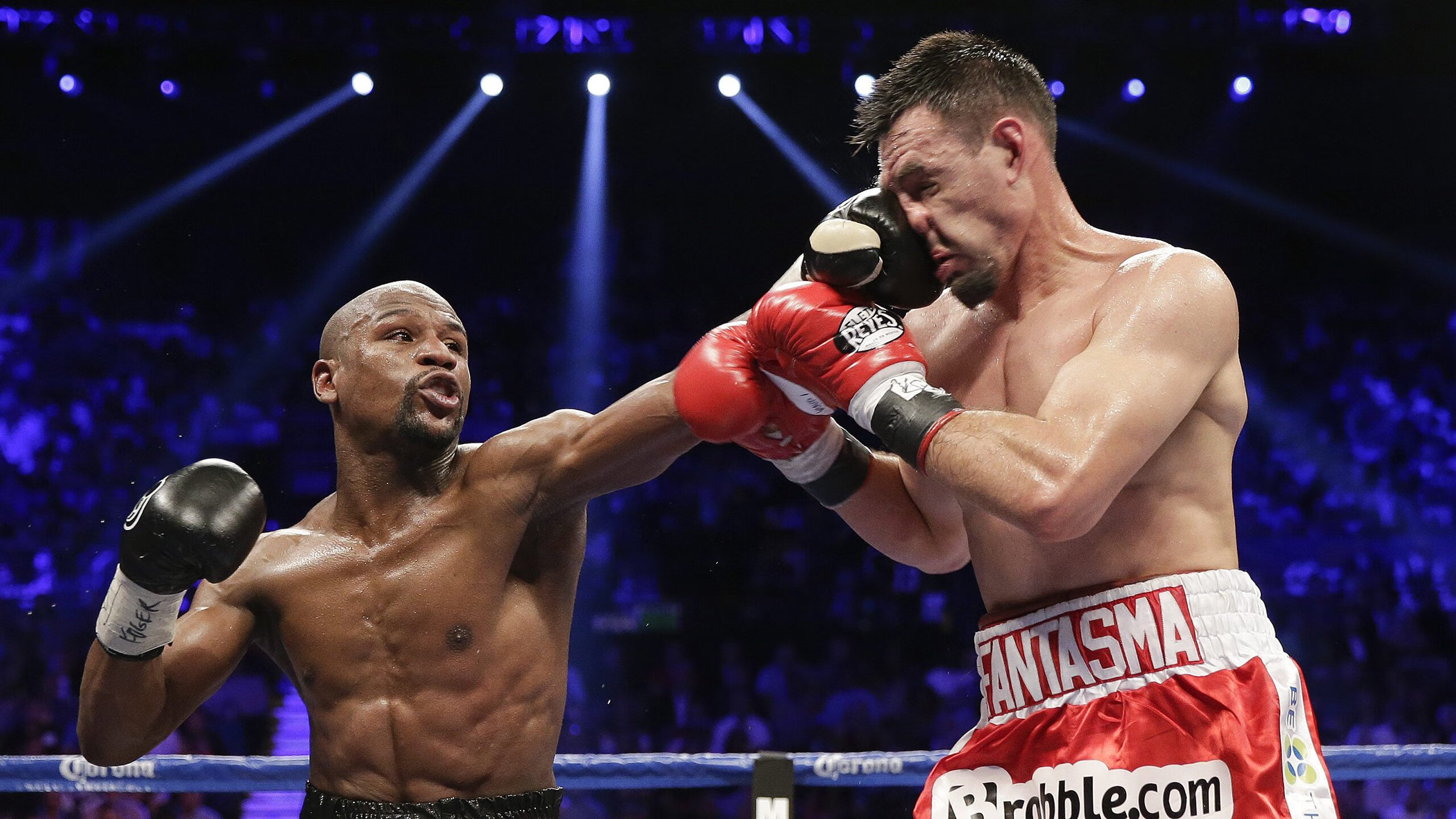 选手排位赛:谁将晋级总决赛?,排位赛冠军